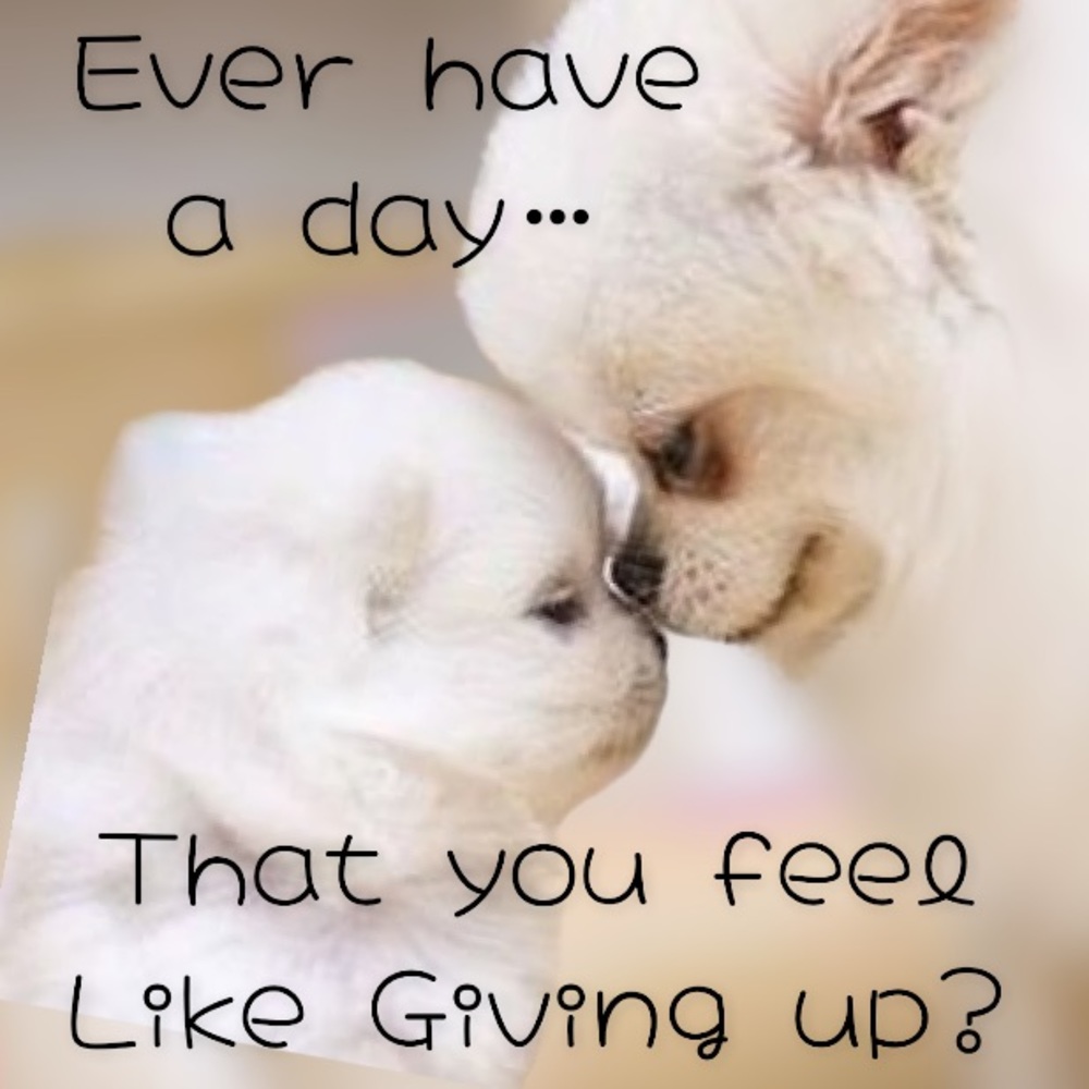 A bad moment, is just a moment. It will pass!